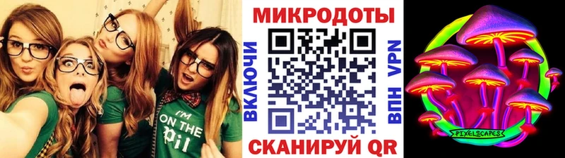 Псилоцибиновые грибы Psilocybe  Волгоград 
